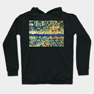 Road through colorful autumn forest Hoodie